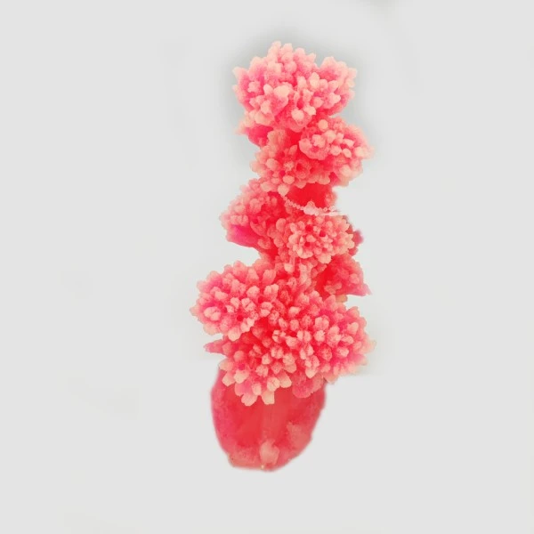 Kunstig koral Dendronephtya (Pink) 13x11x18 cm